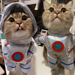 Halloween Pet Dress Clothes, Funny Dress Up Space Suit Stand For Pet
