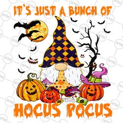 bunch of ho-cus po-cus pumpkin gnome png, png graphics, halloween decal, sublimation, halloween image, witch gnomes, bat