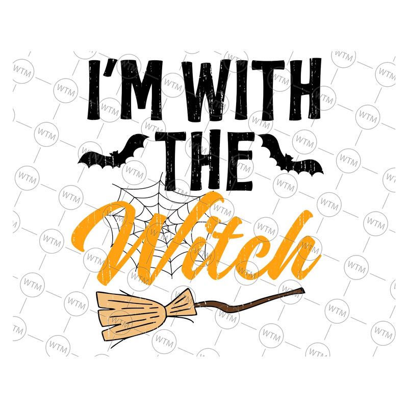 UNICORN WTM_CV_HAL4021.jpg