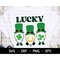 MR-1682023155156-lucky-gnome-svg-happy-st-patricks-day-svg-st-image-1.jpg