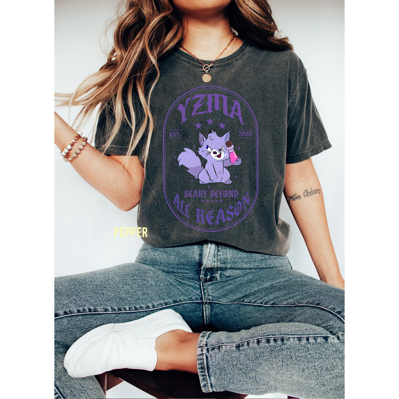 Disney Yzma Cat With Potion Comfort Color Shirt, Retro Villain Emperor’s New Groove Kuzco T-shirt, Magic Kingdom Tee, Family Birthday Gift - 4.jpg