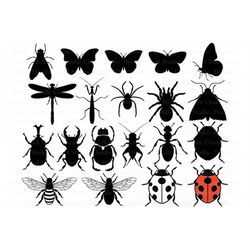 insect svg, insects bundle svg files for silhouette and cricut. insect clipart, bugs svg, dragonfly, ladybug, butterfly,