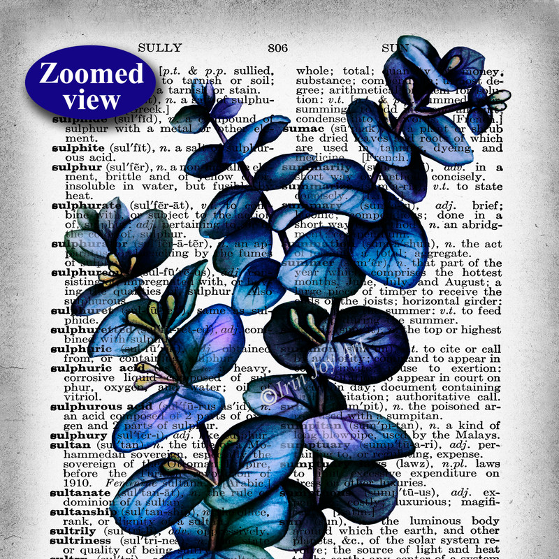 Zoomed view2.jpg