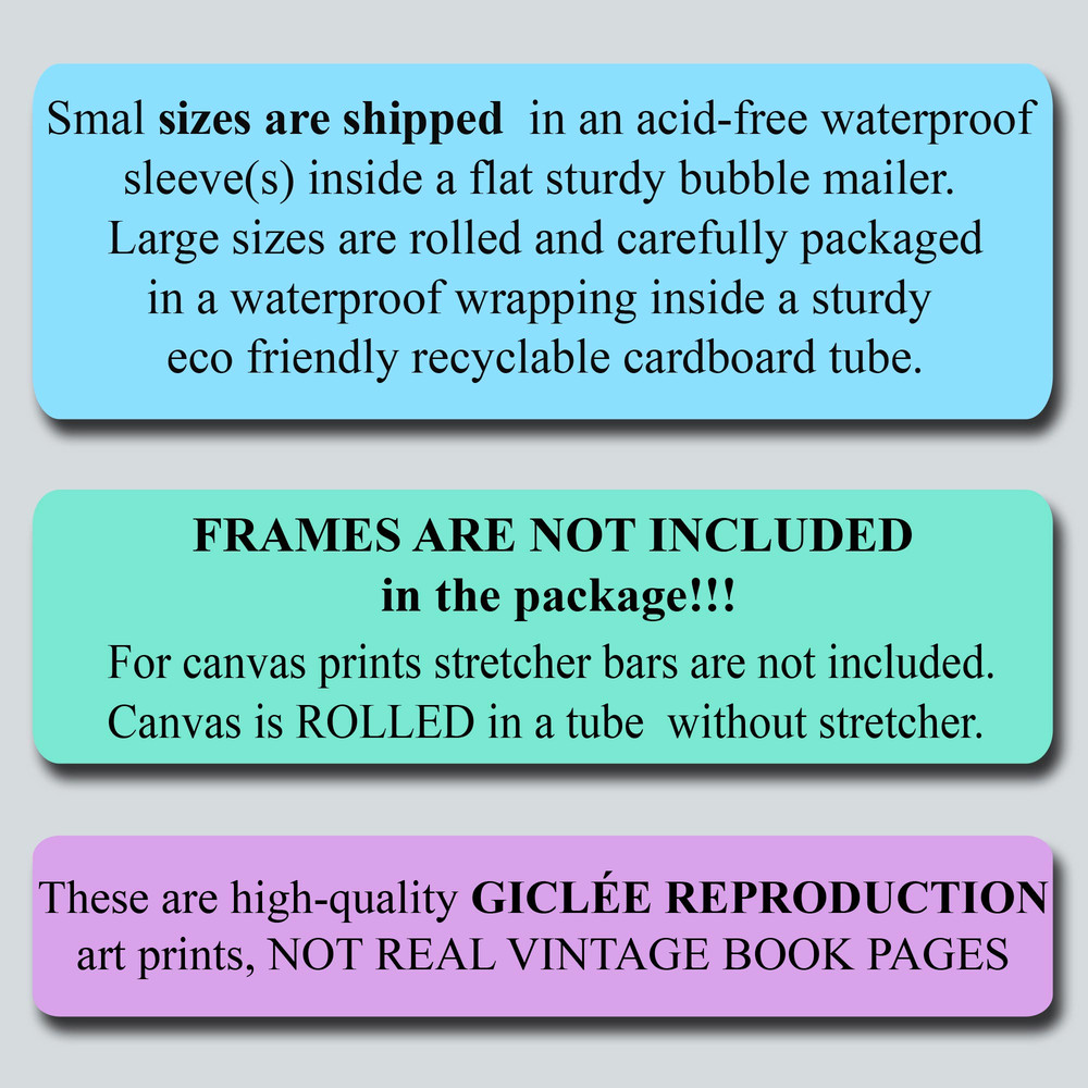 10-page11.jpg