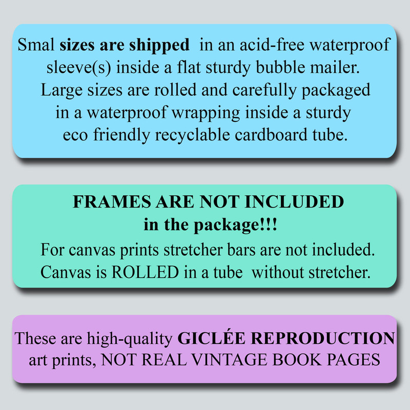 10-page11.jpg