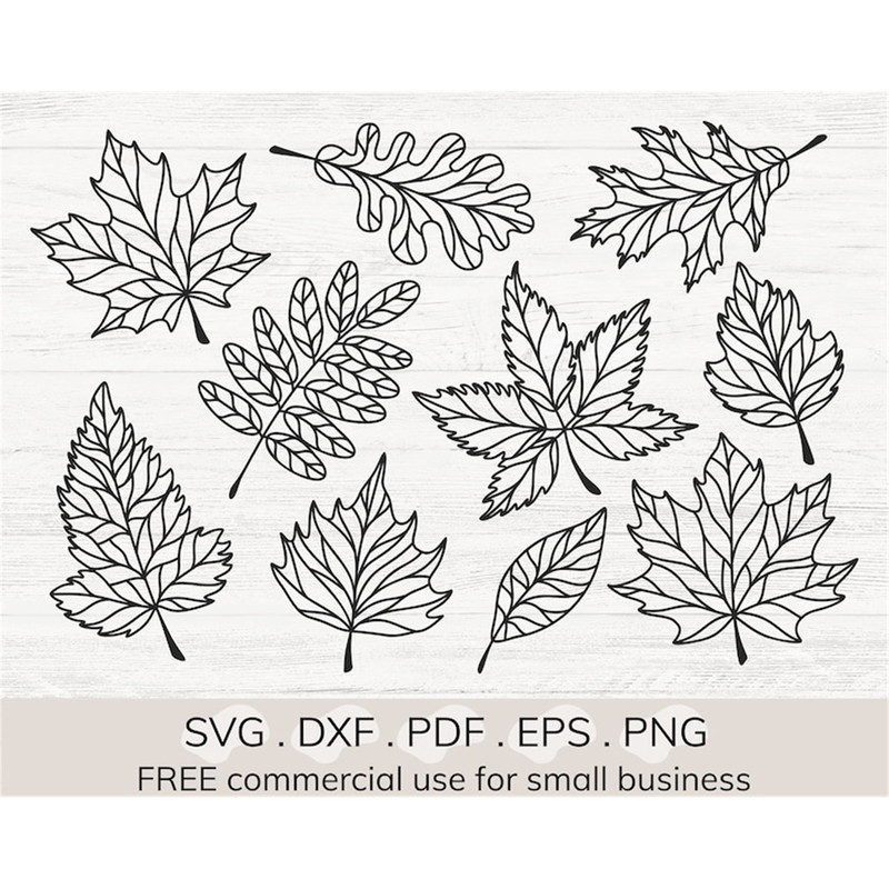 MR-178202371331-fall-leaves-bundle-svg-maple-leaf-svg-autumn-leaves-clipart-image-1.jpg