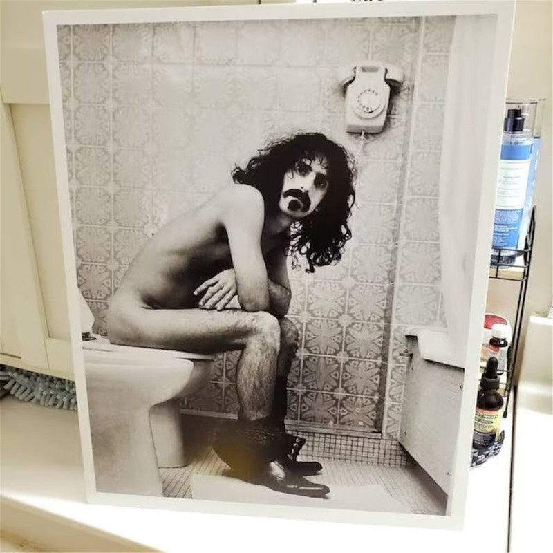 MR-178202385141-frank-zappa-toilet-poster-bathroom-wall-decor-funny-bathroom-image-1.jpg