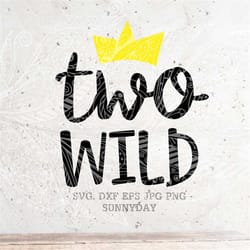two wild svg,second birthday,baby boy,baby girl,2nd birthday,birthday svg file, dxf silhouette print vinyl cricut cuttin