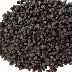 Papaya Seeds in dried | Dry Papaya Seeds | Edible Seeds| Organic Papaya Seeds | Natural Bio Product | Weight Loss Seeds
