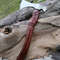 IMG_20220127_173055.jpg