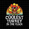 MR-188202375655-coolest-turkey-in-the-flock-svg-cutest-turkeys-svg-coolest-image-1.jpg