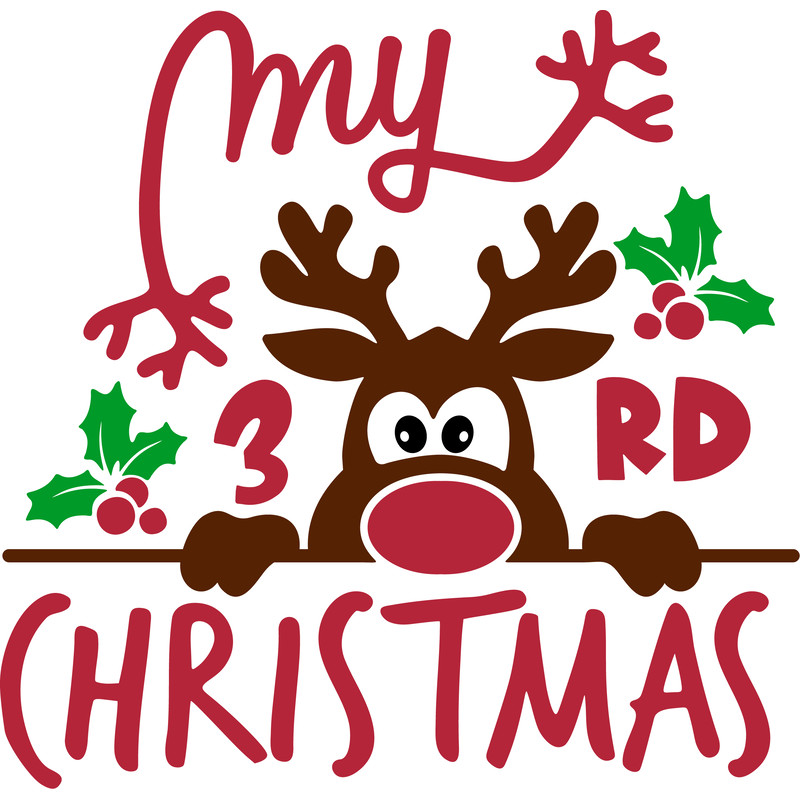 my_3_rd_christmas_1.png