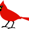cardinal bird.png