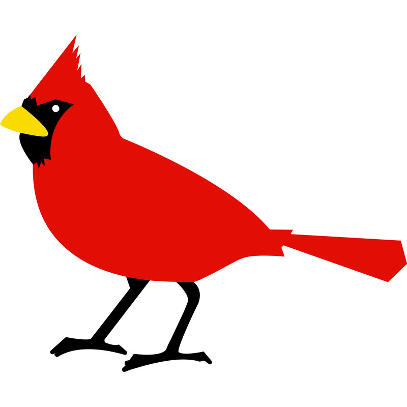 cardinal bird.png