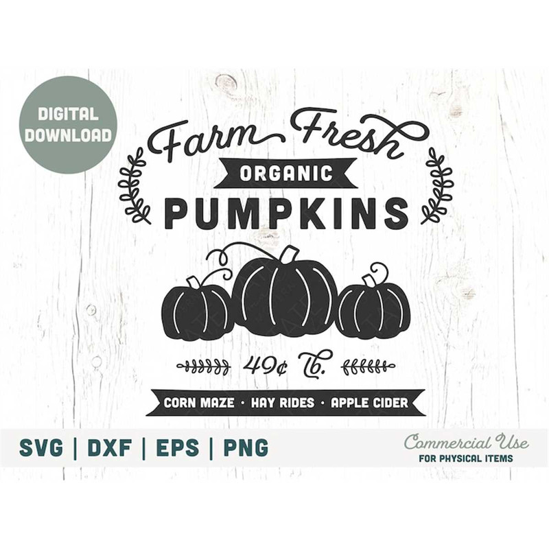 MR-1882023173523-farm-fresh-organic-pumpkins-svg-cut-file-retro-fall-svg-image-1.jpg