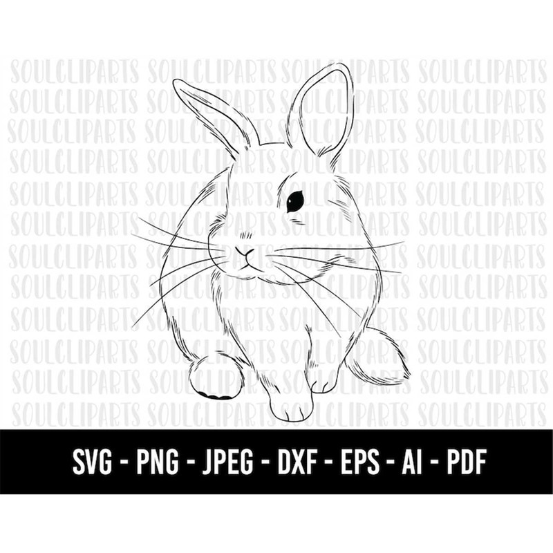 MR-1882023174433-cod756-easter-rabbit-svg-easter-clipart-easter-svgrabbit-image-1.jpg