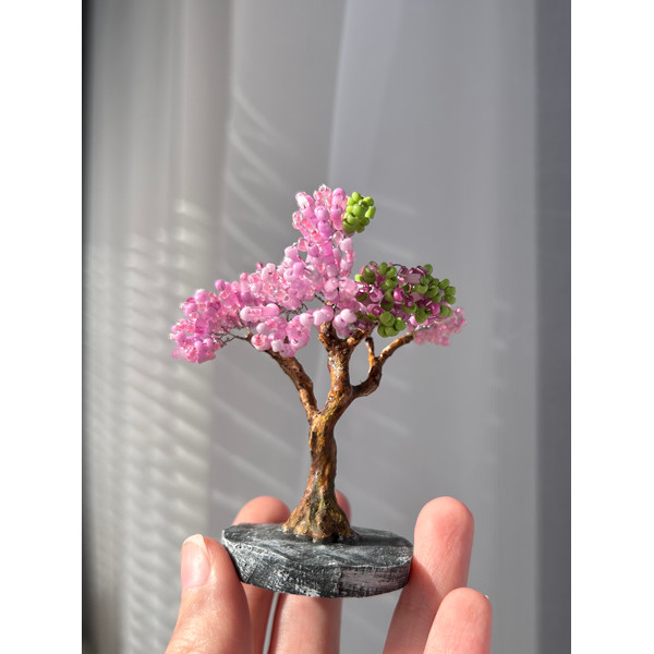 Pink-bonsai-in-the-sunlight.jpeg