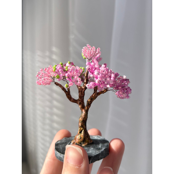 Pink-bonsai-in-hand.jpeg