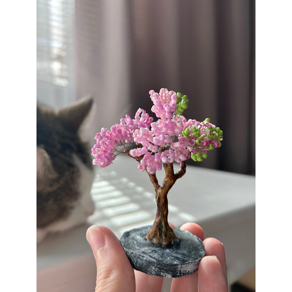 Pink-bonsai-with-cat.jpeg