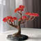 Red-bonsai-tree.jpeg
