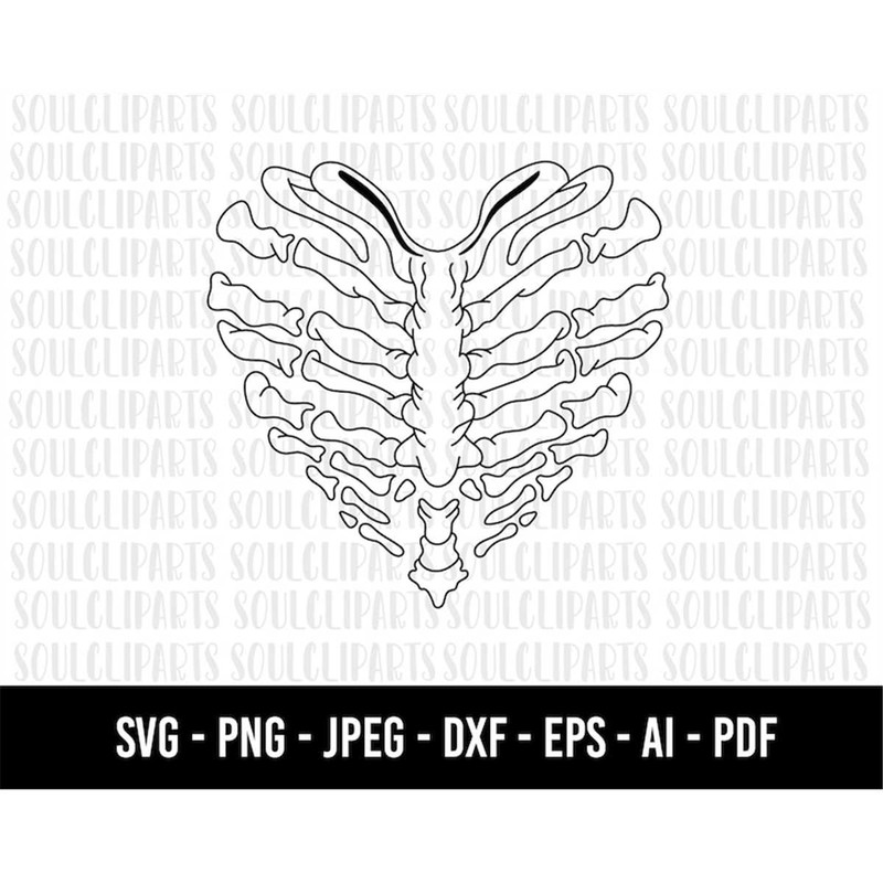 MR-1882023203828-cod253-heart-rib-cage-svg-human-skeleton-svg-heart-image-1.jpg