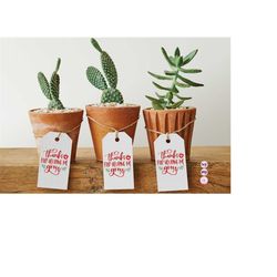 thanks for helping me grow teacher appreciation school svg cut file dxf printable png silhouette cricutsublimation