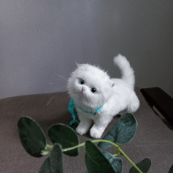 White exotic kitten. Little exotic kitten. Kawaii stuffed cat. Realistic replica cat. Cute handmade toy.