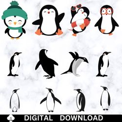 penguin svg bundle, cute penguin svg, penguin vector, penguin svg, penguin clipart, penguin cut files,