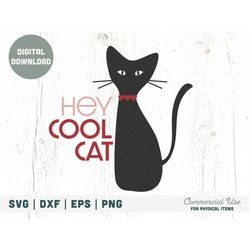 hey cool cat svg cut file, mid century valentines day svg, retro valentine svg, fun mcm valentine shirt svg - commercial