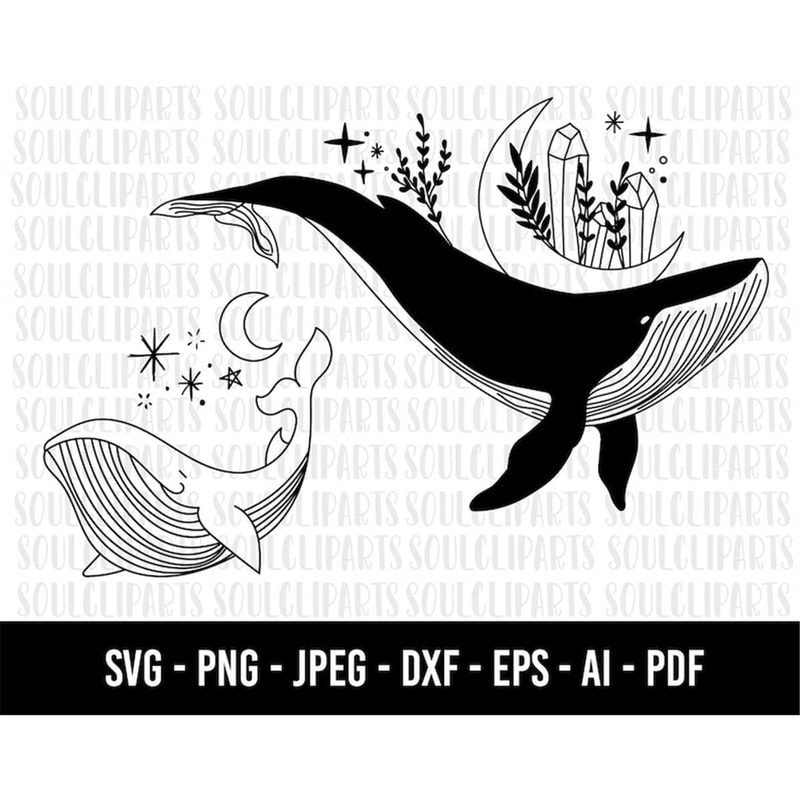 MR-19820238354-cod85-whale-svg-file-whale-cut-file-whale-floral-svg-file-image-1.jpg