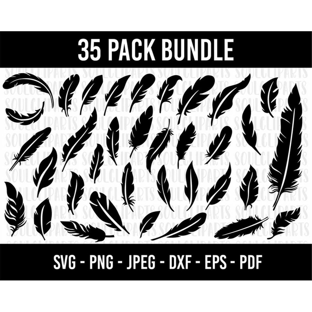MR-1982023104630-cod101-feather-svg-feather-png-birds-feather-image-1.jpg