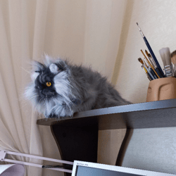 Fluffy cat Juno. Realistic replica of an angry cat. Beautiful cat as a gift. Kawaii stuffed cat.  Real cat. Plushie cat.