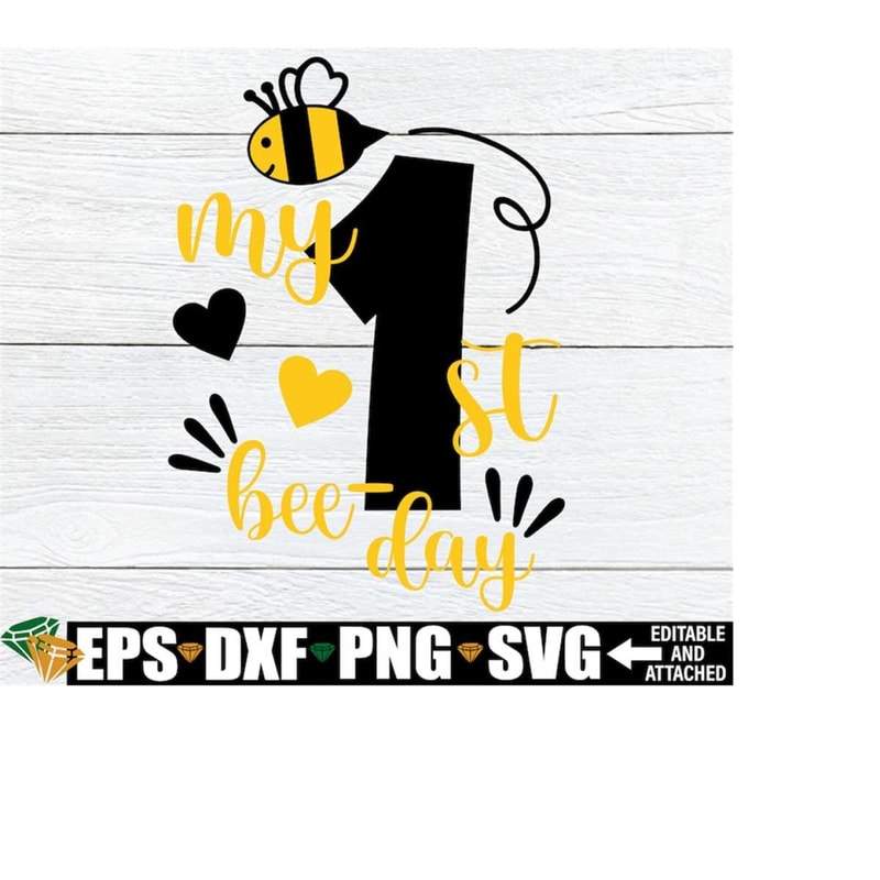 MR-1982023201419-my-1st-bee-day-first-birthday-1st-birthday-cute-1st-image-1.jpg