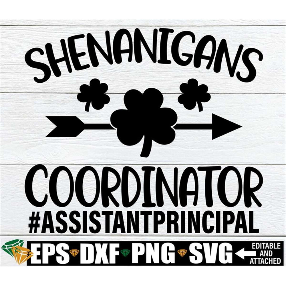 MR-208202342211-shenanigans-coordinator-assistant-principal-st-patricks-image-1.jpg