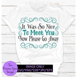 it was so nice to meet you. now please go away. funny. sarcasm. digital download. i hate people. i'm not a people person