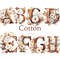 Cotton Alphabet Clipart. Neutral color letters with cotton flowers for wedding invitation letters A, B, C, D, E, F, G, H. Rustic alphabet letters