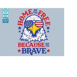 4th of july svg, eagle svg, patriotic svg, independence day svg, fourth of july svg, patriotic eagle svg
