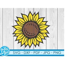 sunflower svg, sun flower svg, sunflowers svg files for cricut. svg, png, dxf files. sunflower cut file clipart sun flow