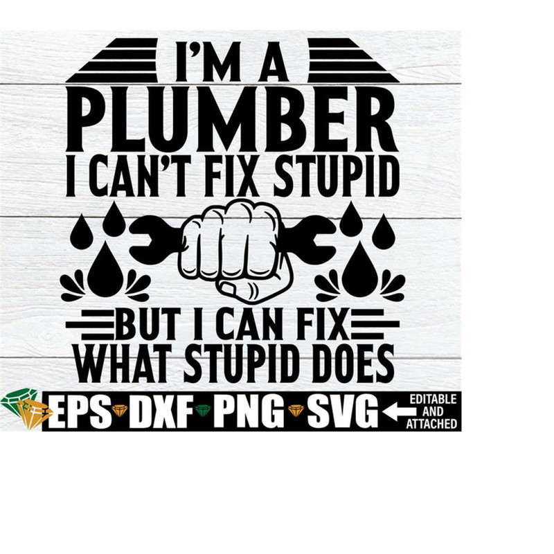 MR-218202302346-im-a-plumber-i-cant-fix-stupid-but-i-can-fix-what-image-1.jpg
