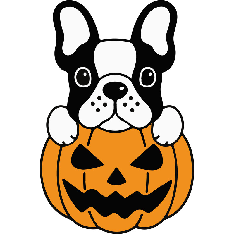 pumpkin frenchie.png