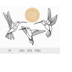 hummingbird svg, hummingbird flying png, svg files for cricut