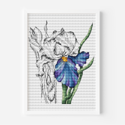 Iris Cross Stitch Pattern PDF, Floral Pattern Cross Stitch, Floral Bouquet Hand Embroidery Instant Download Digital File