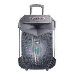 naxa portable 15 inch bluetooth party speaker with disco light
