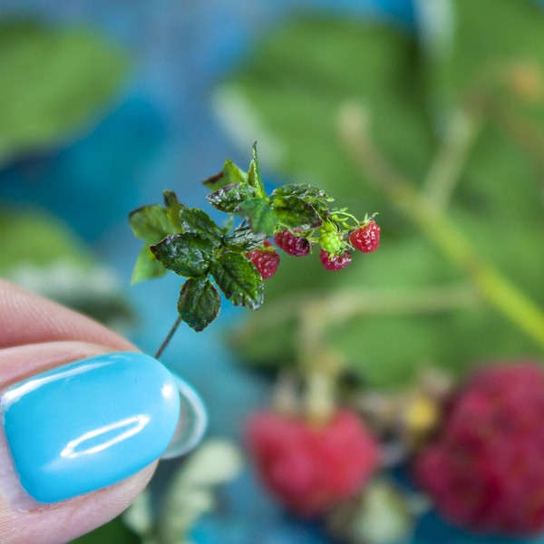 TUTORIAL Miniature raspberry with polymer clay and air dry c | Inspire ...