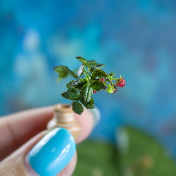 TUTORIAL Miniature raspberry with polymer clay and air dry c | Inspire ...