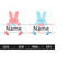 MR-228202303954-bunny-name-frame-svghappy-easter-svgbunny-t-shirt-svgeaster-image-1.jpg