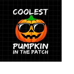 coolest pumpkin in the patch png, pumpkin halloween png, pumpkin face png, coolest pumpkin halloween png