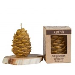 Candle "Cedar cone"