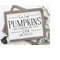 MR-228202331111-farm-fresh-pumpkins-svg-pumpkin-svg-fall-svg-cut-files-image-1.jpg