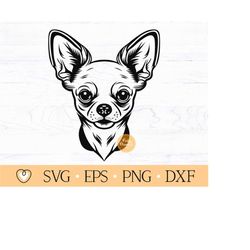 chihuahua svg, dog face svg, dog breed svg, cut file, png, dxf